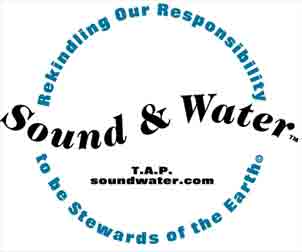  
SoundWater.com Sound & Water mission logo 1998  advertising algorithm system- Get in the Game
 
