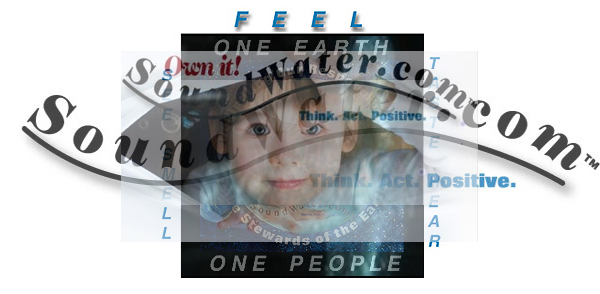  
SoundWater.com Sense Software Endorsement confection
 