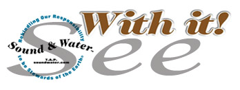 SoundWater.com With it! See in the Play